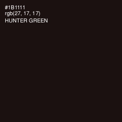 #1B1111 - Hunter Green Color Image